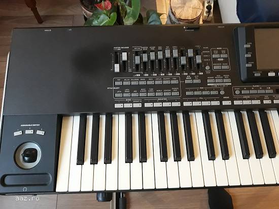 Korg Pa3x-76 ram256