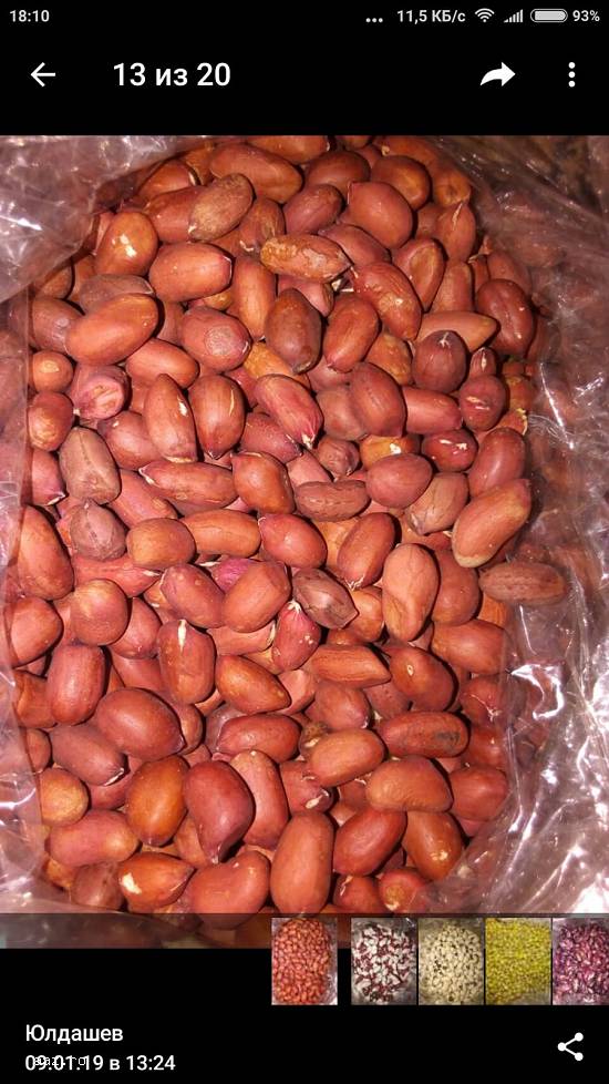 Fasole consum / procesare en-gros