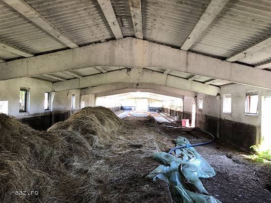 Lichidator judiciar vand fosta ferma de porcine - loc. Comisani,    jud. Dambovita