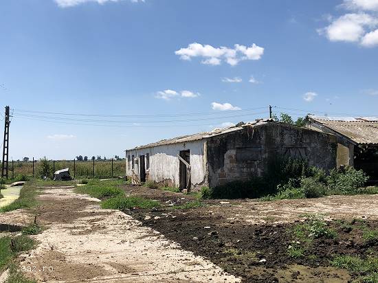 Lichidator judiciar vand fosta ferma de porcine - loc. Ulmi,    jud. Dâmbovița
