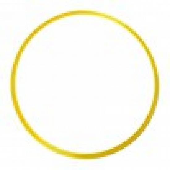 Cerc pentru antrenament