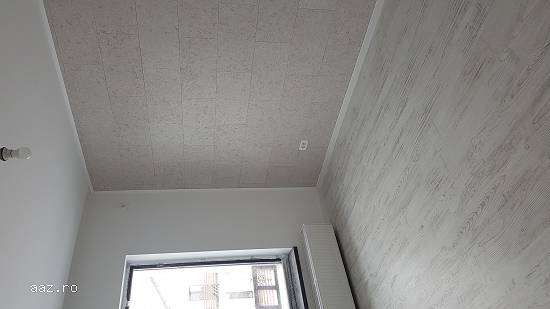 Casa in rate tip duplex Bragadiru