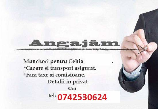 Angajam necalificati