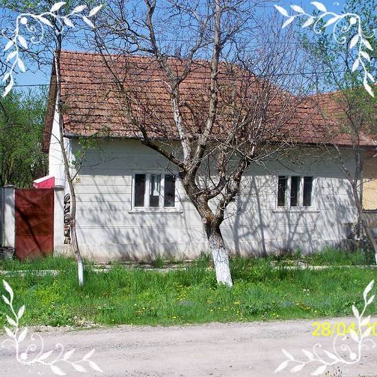 Casa judet Arad localitate Brazii cu piscina langa rau