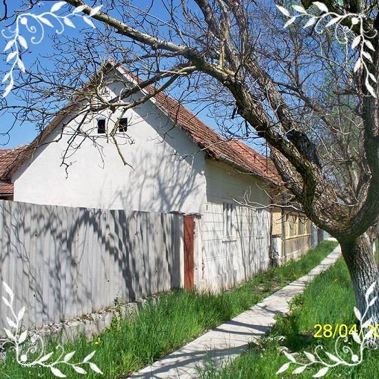 Casa judet Arad localitate Brazii cu piscina langa rau