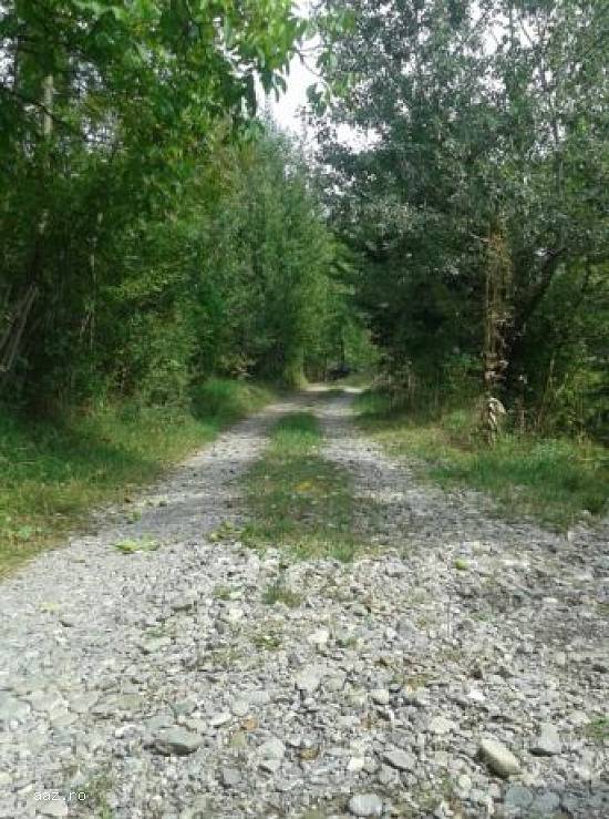 Vând teren intravilan