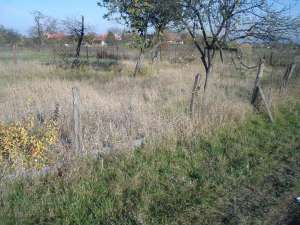 teren de vanzare (650-700 mp gradina )