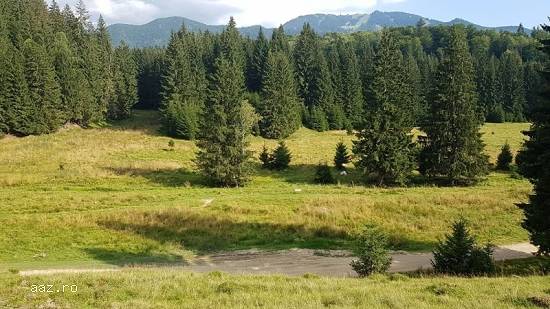 Teren intravilan construibil Poiana Mica Brasov cu utilitati PROPRIETAR