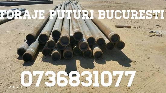 Foraje Puturi