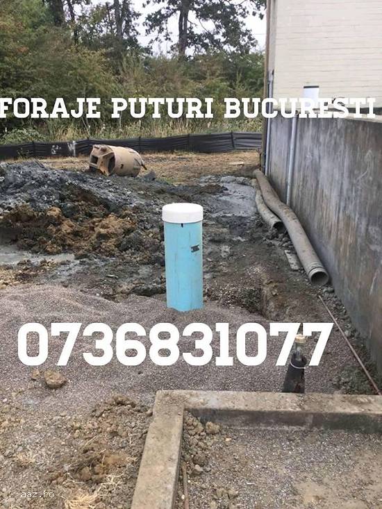 Foraje Puturi