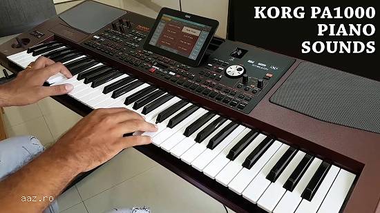 Korg pa1000 Nou,   Sigilat de reprezentanta