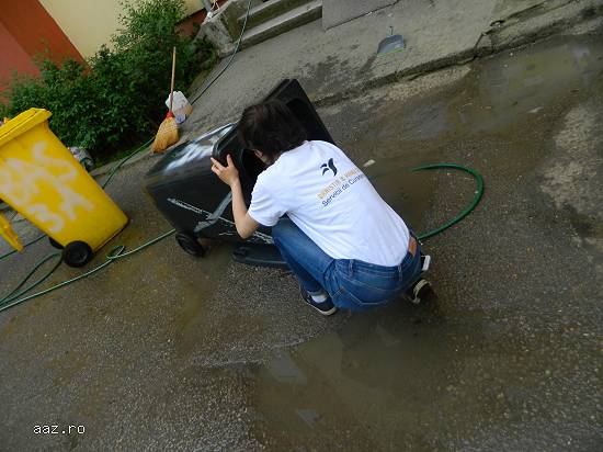 Servicii de Curatenie in Scarii de Bloc