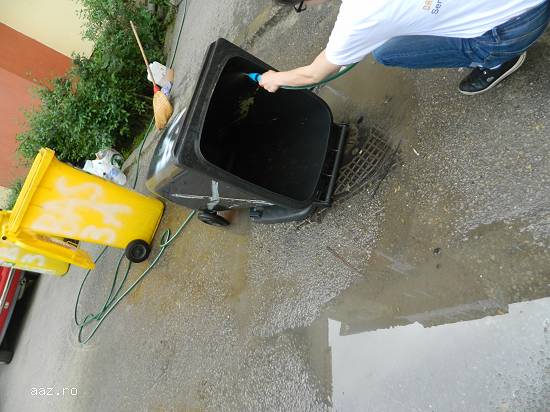 Servicii de Curatenie in Scarii de Bloc