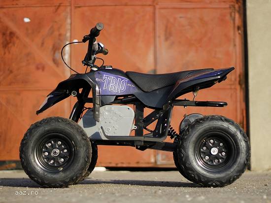 Mini ATV electric Pentru copil 2-7 ani cu motor de 350W 24V