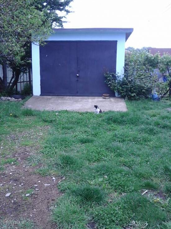 Vand Casa 100 mp + teren 667 mp,    Com.Manesti,    Sat Ungureni,   DB