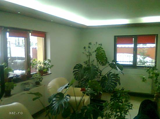 Constructii Case,   Renovari,   Zugravit
