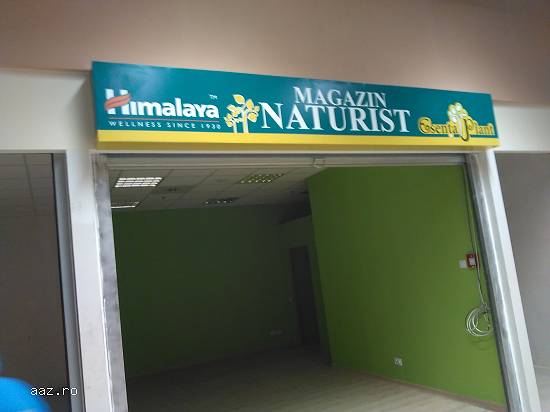 Constructii Case,   Renovari,   Zugravit