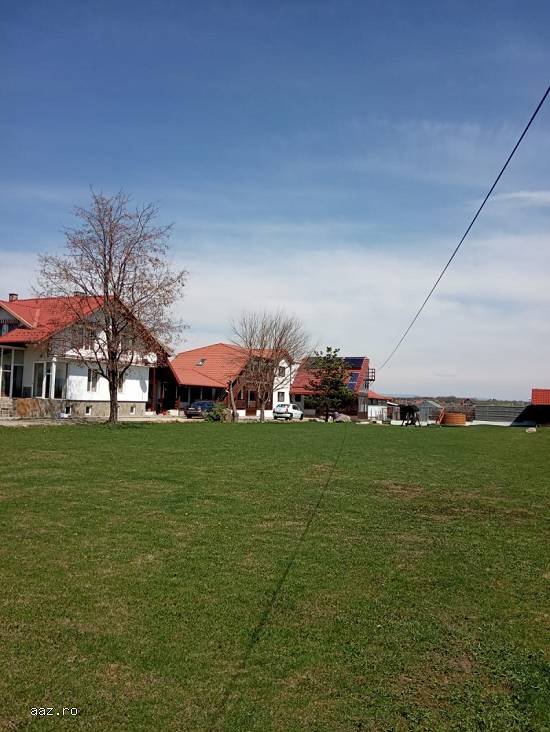 Rafting pe Olt,   paintball,   activitati team building,   pensiune Brasov