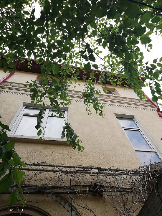 Vând casa la curte