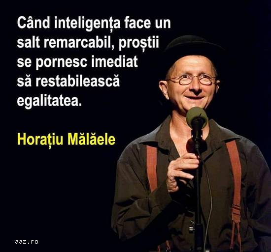 Antreprenor Afacere Personala
