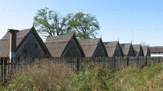 Teren 736 hectare,   imobile 1500mp,   Delta Dunarii,   multiple destinatii