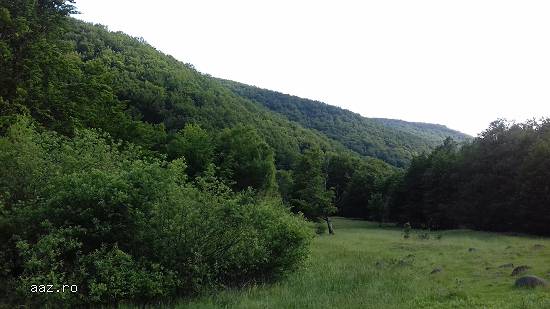 Teren zona montana SOVATA pe raul Yuhod
