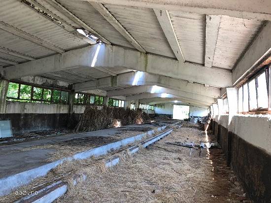 Vand fosta ferma de porcine - loc. Comisani,      jud. Dambovita