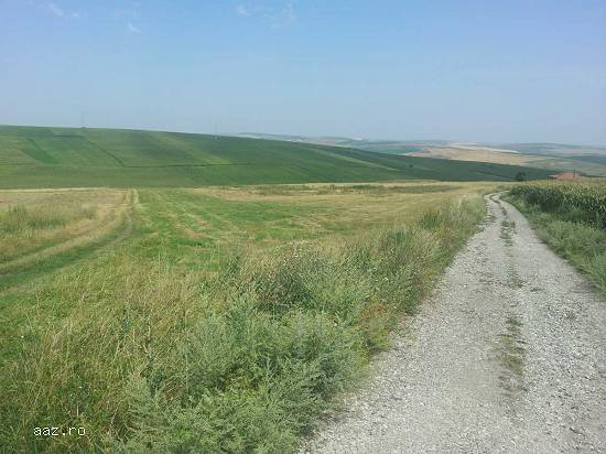 Lichidator judiciar,    vand teren - 10.000 mp - Tureni,    jud. Cluj