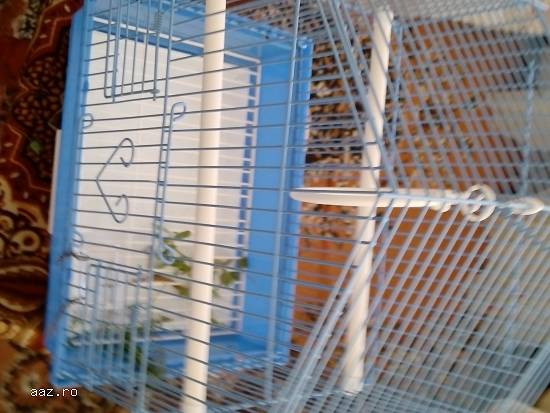 Colivie + șarpe de jucărie bonus