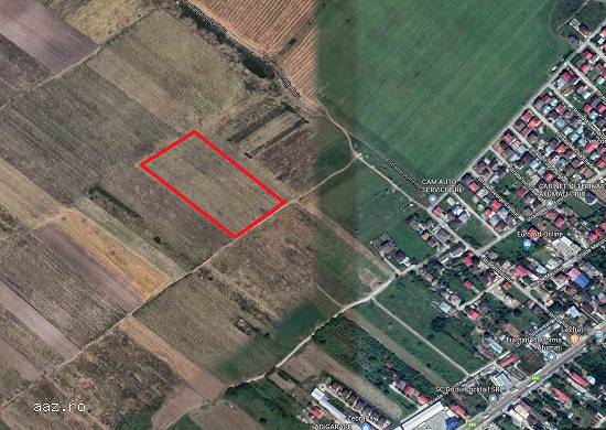 Teren intravilan/comercial Afumati la 200 m de rond autostrada
