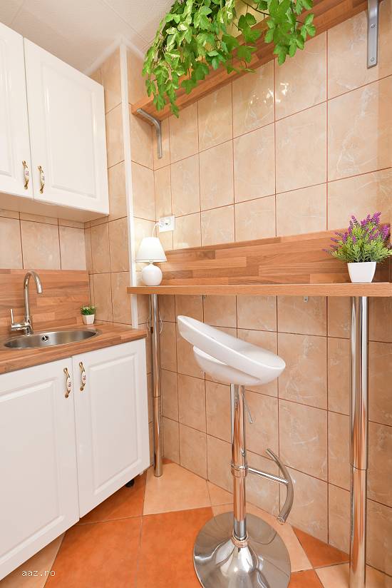 Vand apartament 2 camere,   renovat,   mobilat,   Aleea Cricovul Sarat (Nitu Vasile)