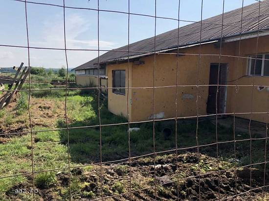 Lichidator judiciar vand ferma bovine - Satu Mare