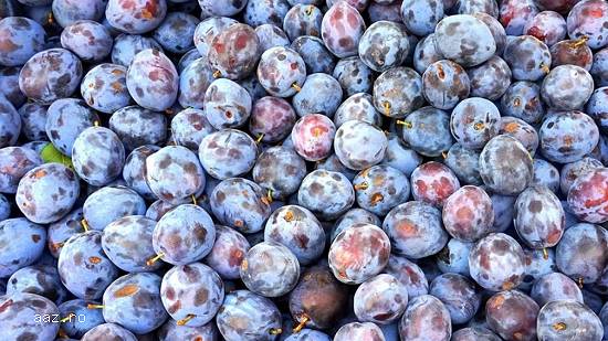 Palinca de prune