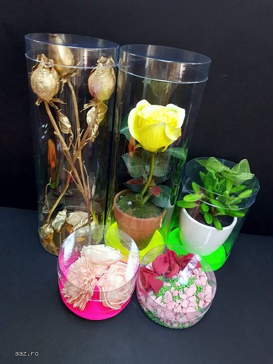 Cutii rotunde (cilindri) din plastic transparent diametru 10 cm