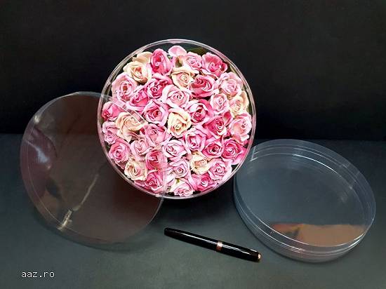 Cutii rotunde (cilindri) din plastic transparent diametru 20 cm