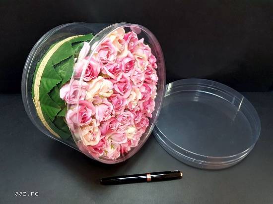 Cutii rotunde (cilindri) din plastic transparent diametru 20 cm