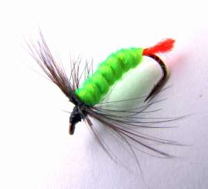 Muste de Pastrav,   Clean,   Lipan.