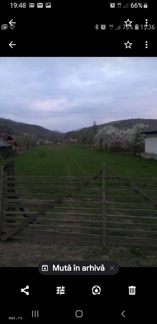 Teren