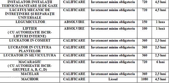 CURSURI DE CALIFICARE