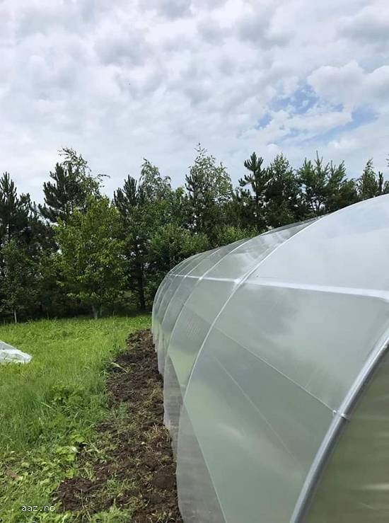Solar de gradina pentru legume si flori. sera de gradina