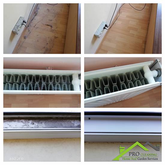 Servicii Curatenie Timisoara Pro Cleaning