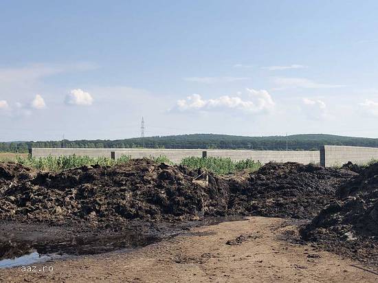 Lichidator judiciar vand ferma bovine - Satu Mare.