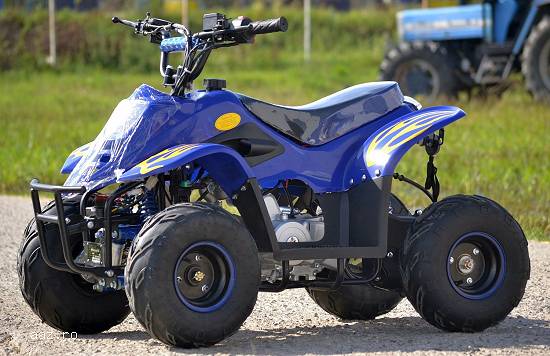Atv Panzer 125cc  Roti De 6 Inch