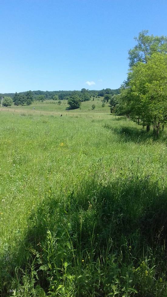 parcele teren intravilan zona linistita poienarii de muscel 1650 mp fiecare parcela