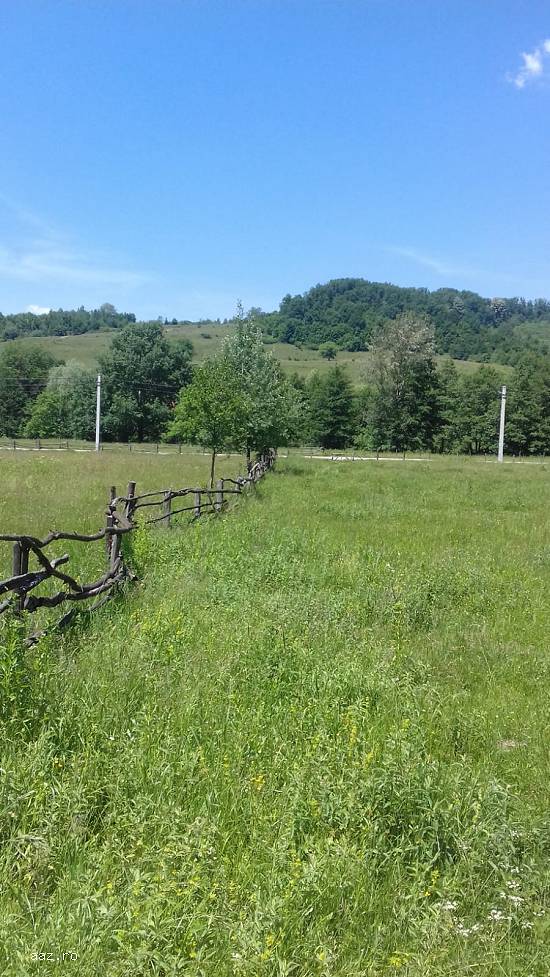 parcele teren intravilan zona linistita poienarii de muscel 1650 mp fiecare parcela