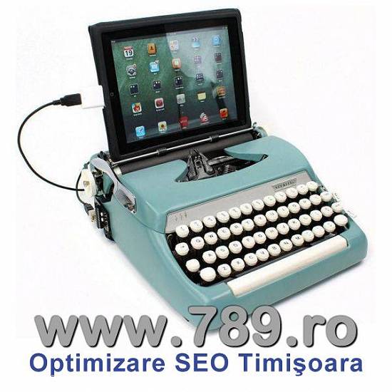 Optimizare SEO Timisoara