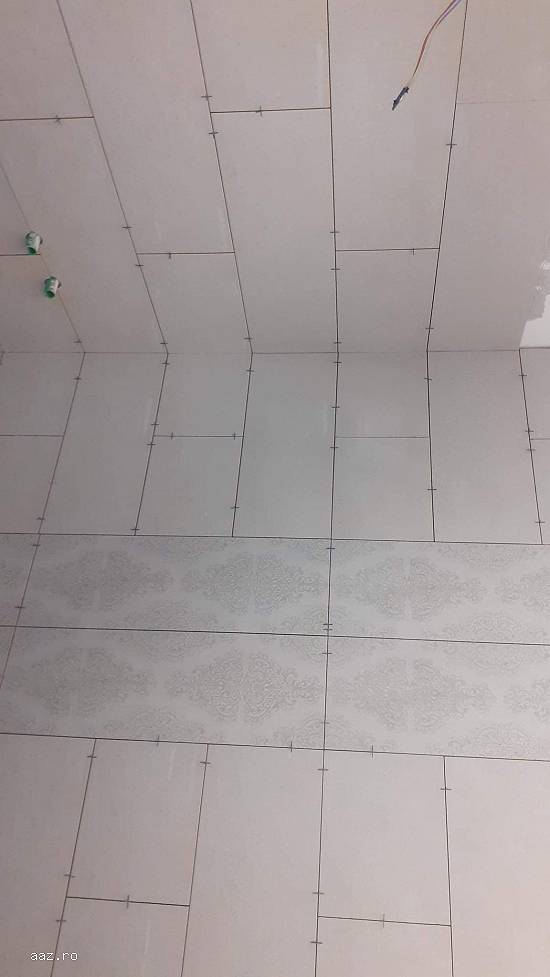 Construim case si renovam