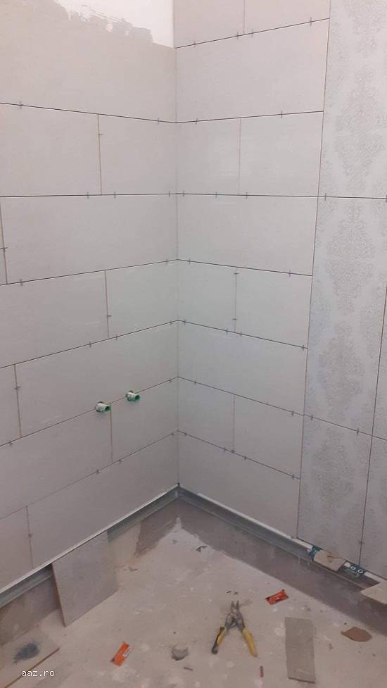 Construim case si renovam