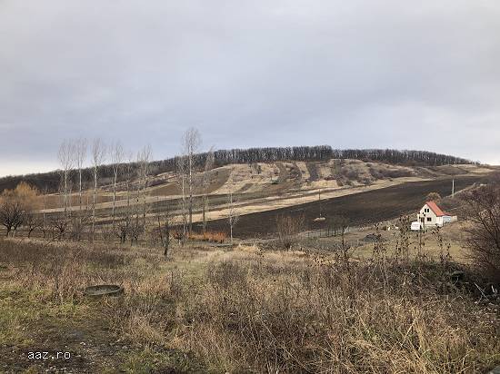 Lichidator judiciar vand teren situat in extravilanul localitatii Zalau,   jud Salaj...