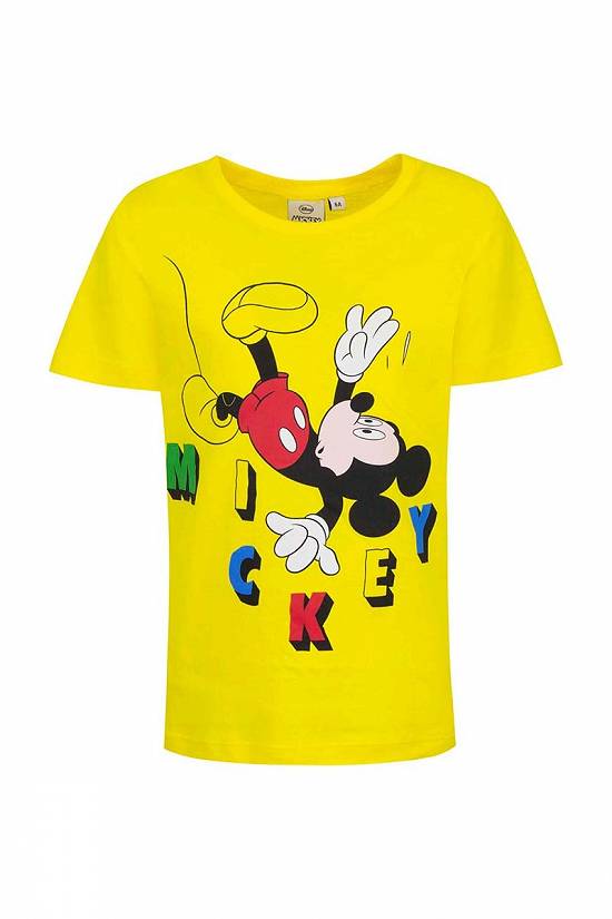 Tricouri din bumbac pentru baieti